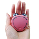 EMS Facial Massager